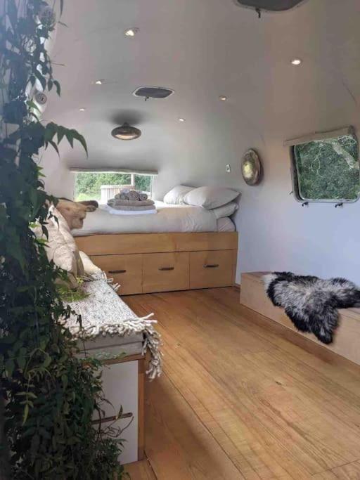Airstream, Vintage American Caravan & Hottub Ashburton Esterno foto